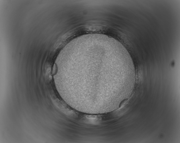 X0000116100187200912141005