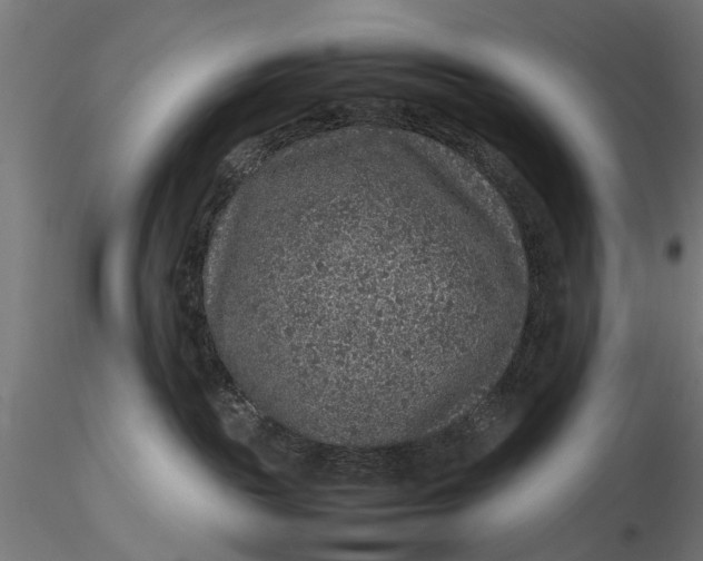 X0000116100189200912141005