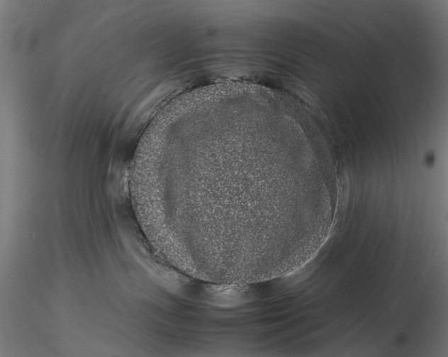 X0000116100191200912141005