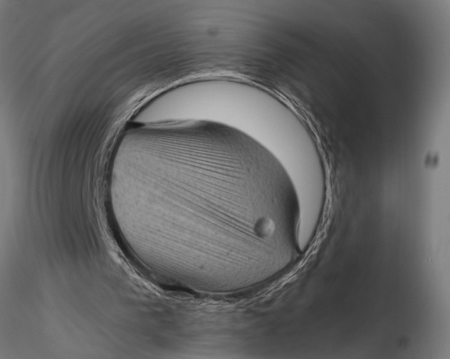 X0000116100193200912141004