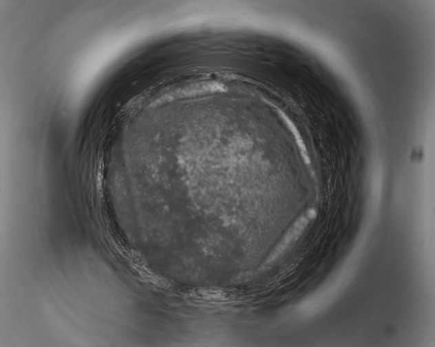 X0000116100194200912141004