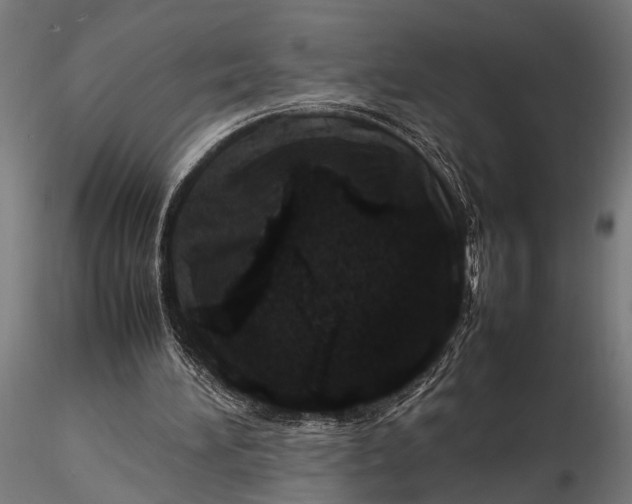 X0000116100196200912141004