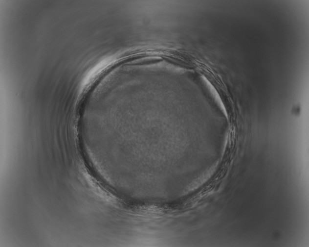 X0000116100197200912141004