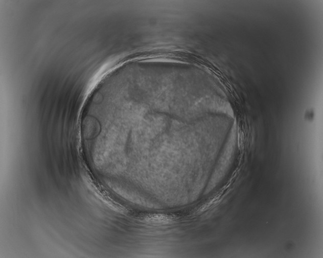 X0000116100198200912141004