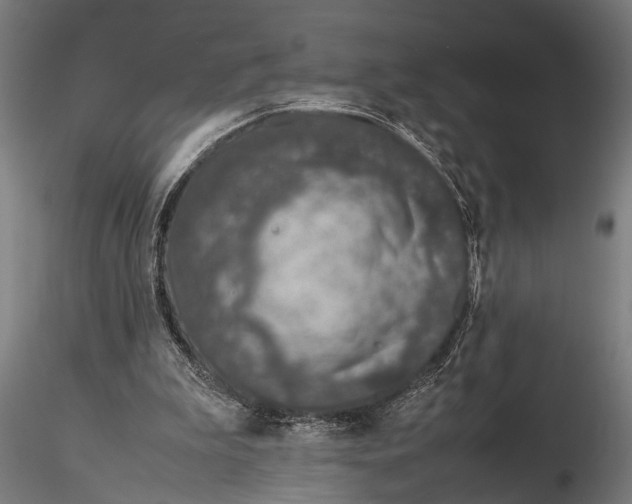 X0000116100199200912141004