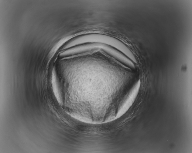 X0000116100200200912141004