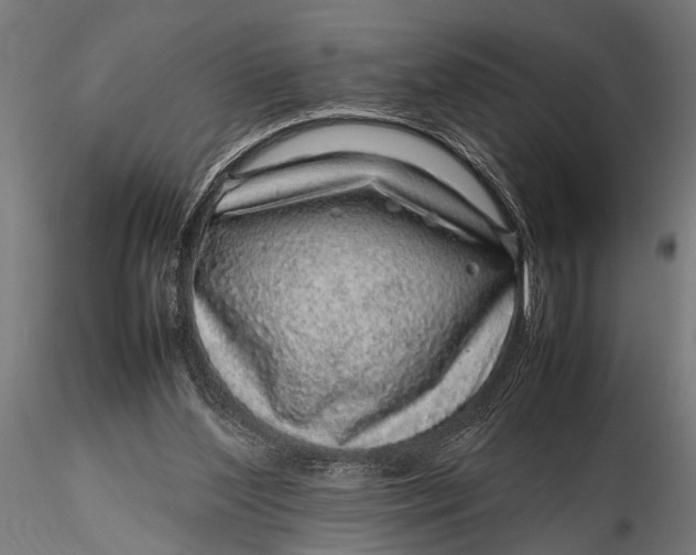 X0000116100204200912141004