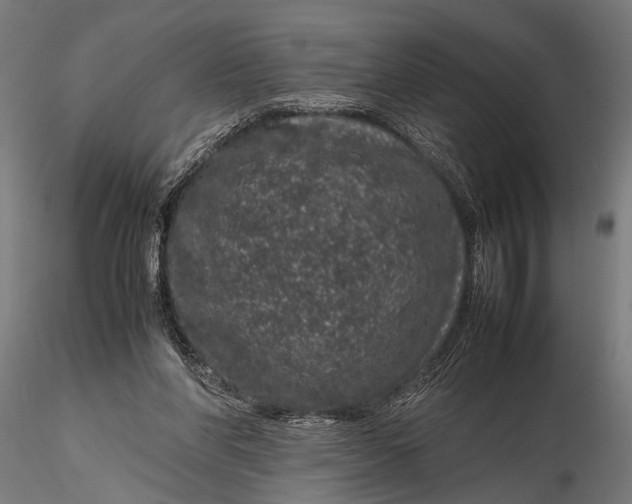 X0000116100206200912141004