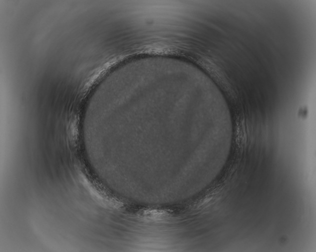 X0000116100208200912141004