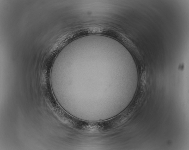 X0000116100209200912141004