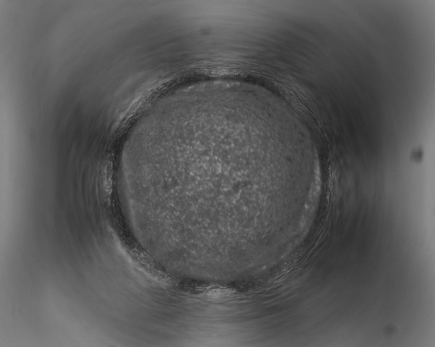 X0000116100210200912141004