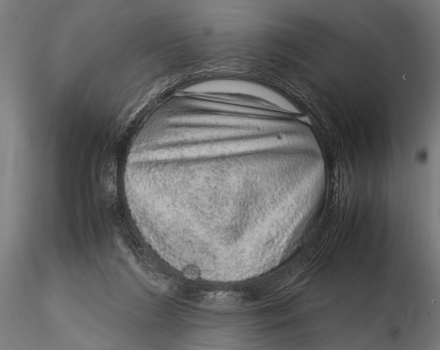 X0000116100212200912141004