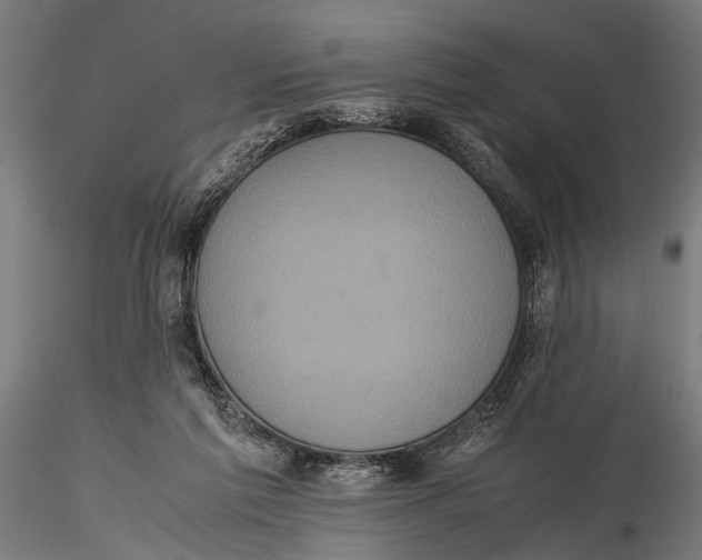 X0000116100213200912141004