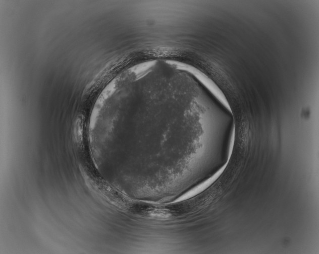 X0000116100214200912141004