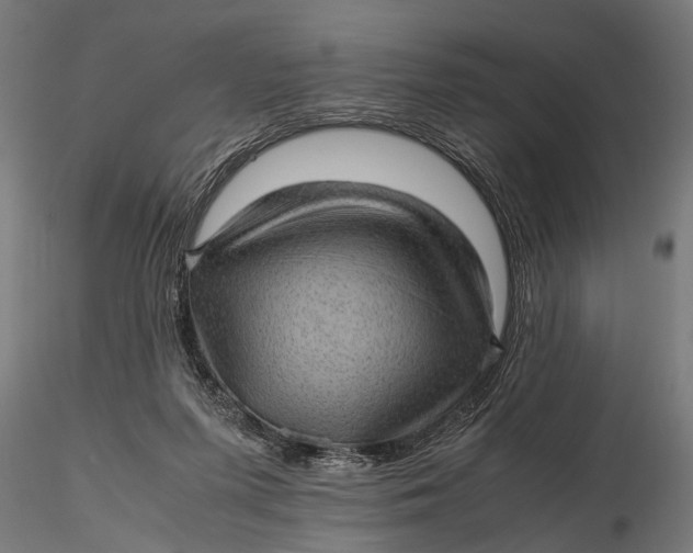 X0000116100215200912141004