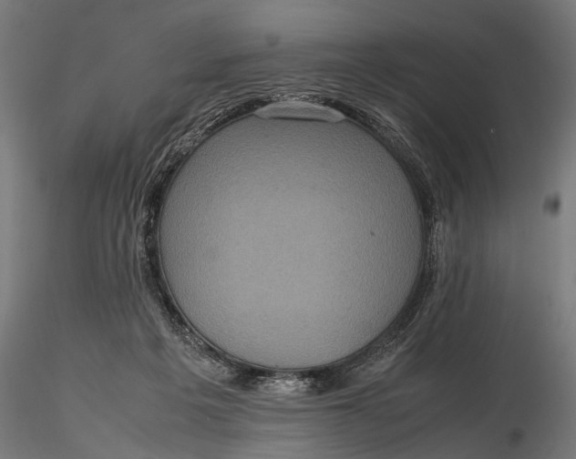 X0000116100217200912141004