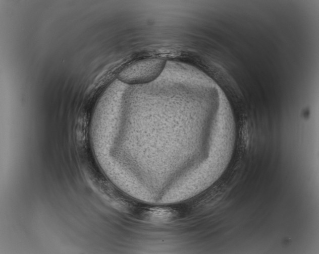 X0000116100218200912141004