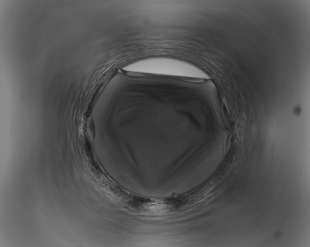 X0000116100219200912141004