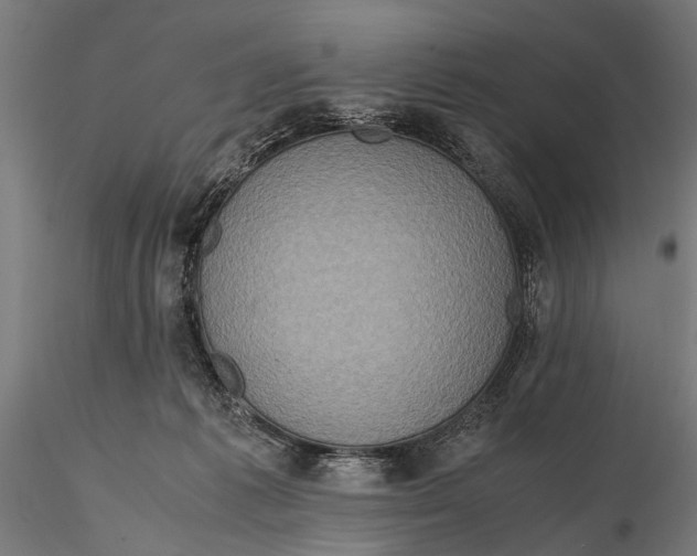 X0000116100221200912141004