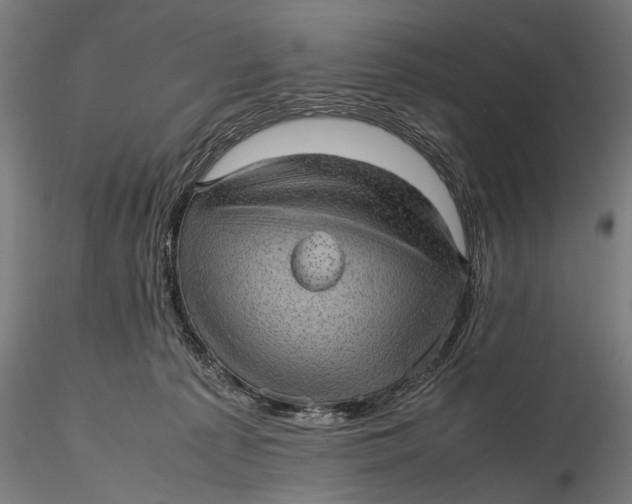 X0000116100225200912141004