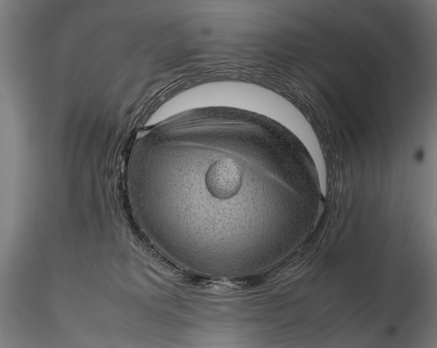 X0000116100229200912141004