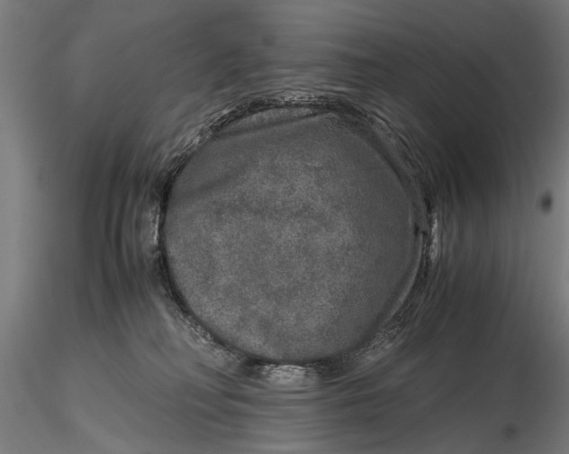 X0000116100230200912141004