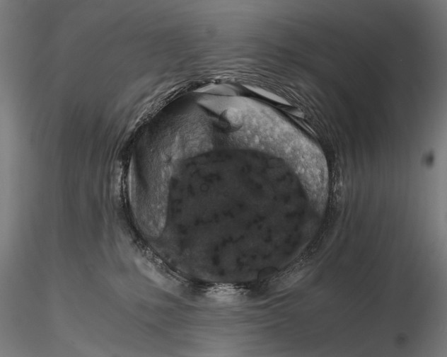 X0000116100231200912141004