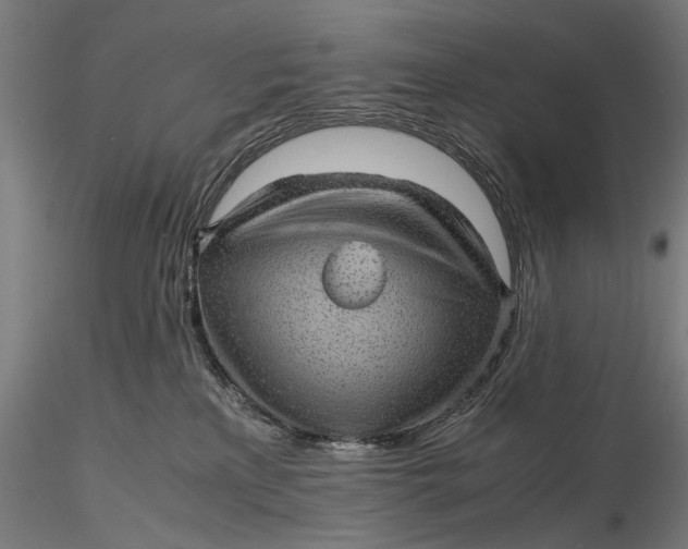 X0000116100233200912141004