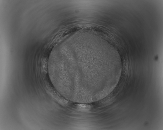 X0000116100234200912141004