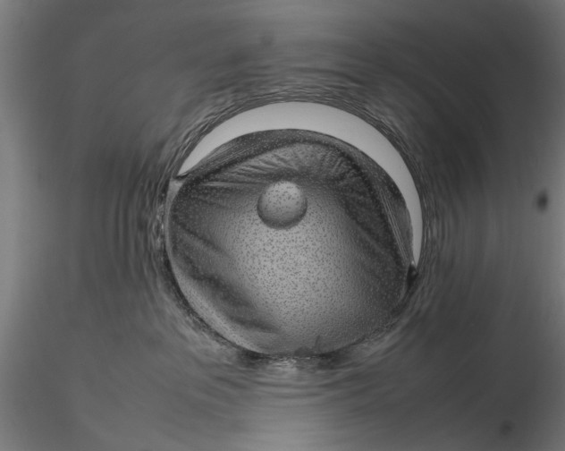 X0000116100237200912141004