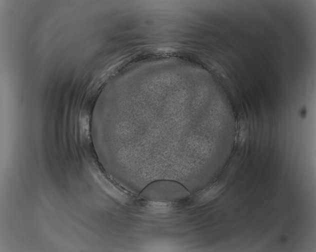 X0000116100238200912141004