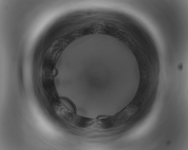 X0000116100239200912141004