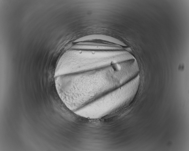 X0000116100240200912141004