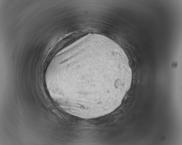 X0000116100241200912141003