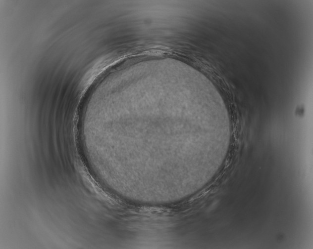 X0000116100242200912141003