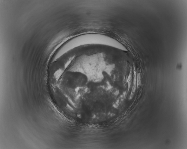 X0000116100243200912141003