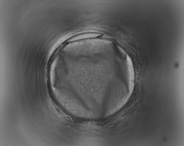 X0000116100244200912141003