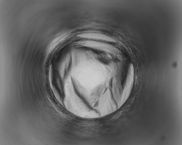 X0000116100245200912141003