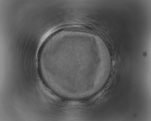 X0000116100246200912141003