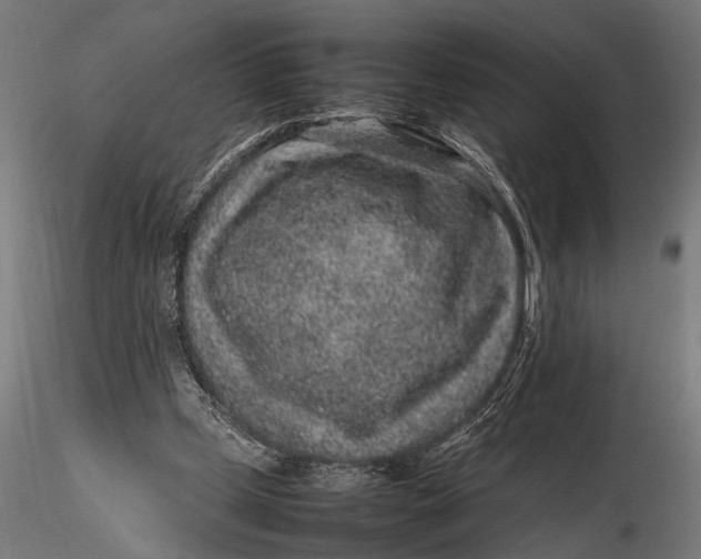 X0000116100249200912141003