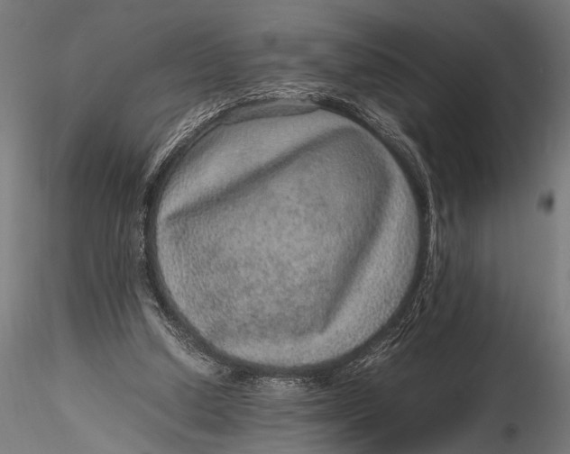 X0000116100250200912141003