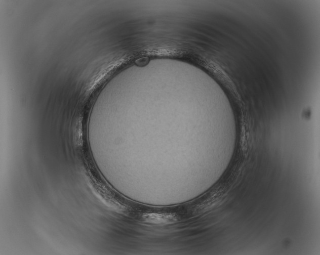 X0000116100251200912141003