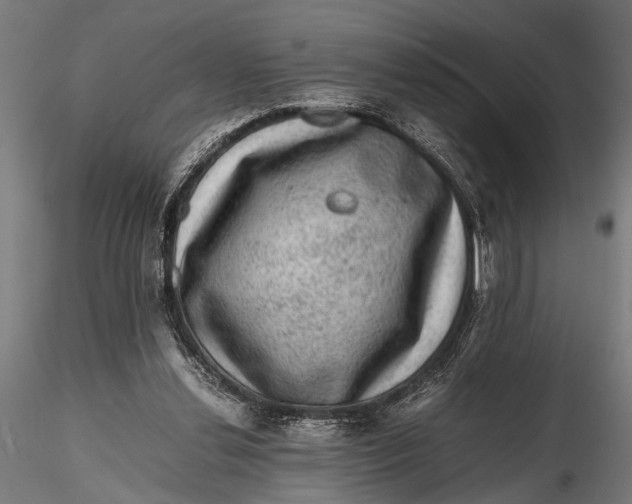 X0000116100252200912141003