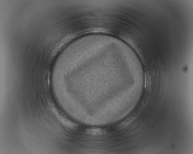 X0000116100253200912141003