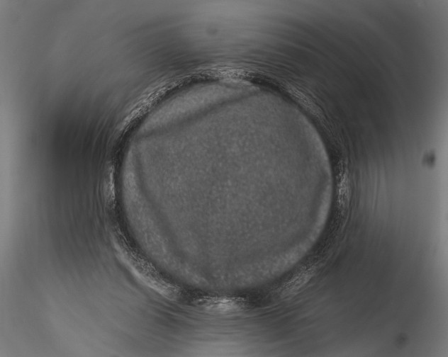 X0000116100254200912141003