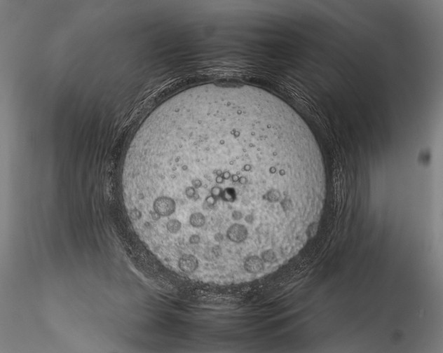 X0000116100255200912141003