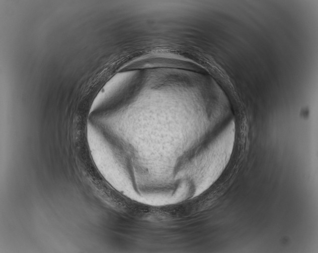 X0000116100257200912141003