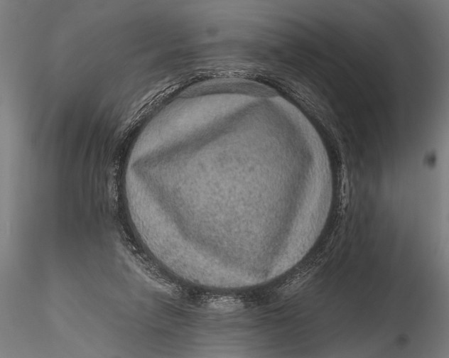 X0000116100258200912141003