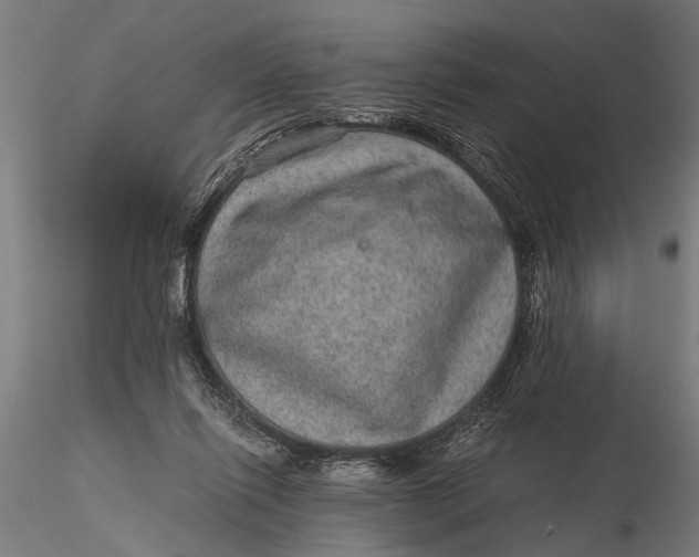 X0000116100262200912141003