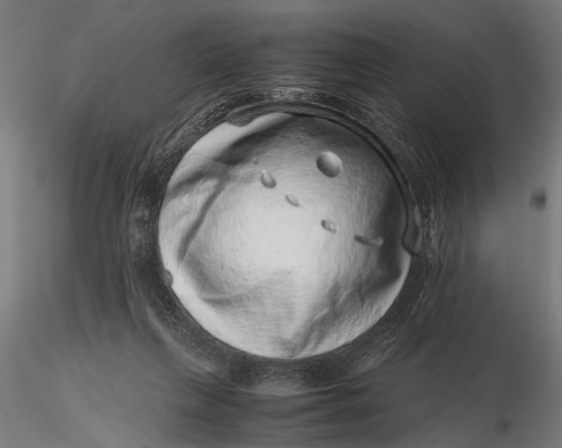 X0000116100263200912141003